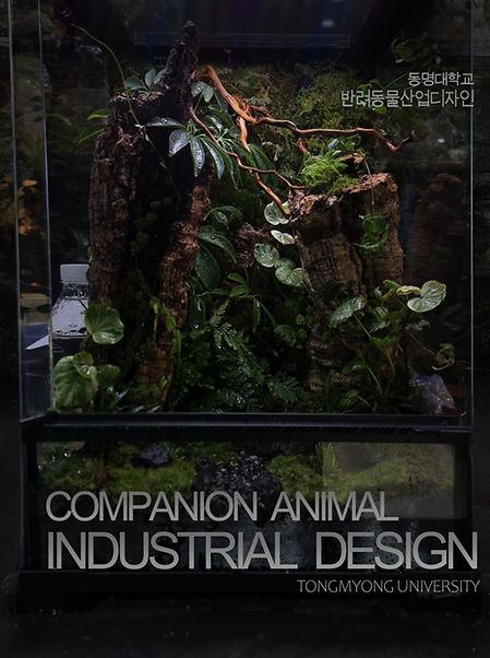 반려동물공간디자인-비바리움, 팔루다리움 제작